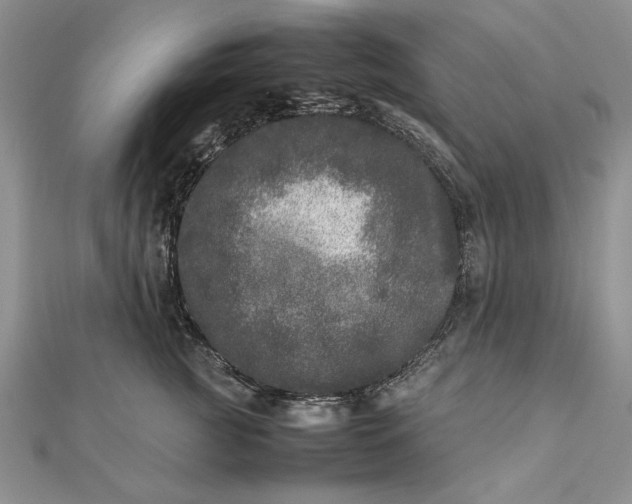 X0000111840761200908061253