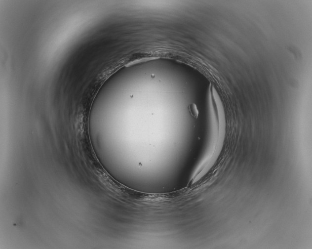 X0000111840762200908061253