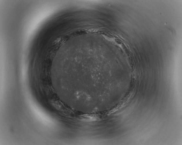 X0000111840763200908061253