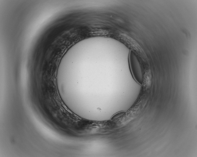 X0000111840764200908061253