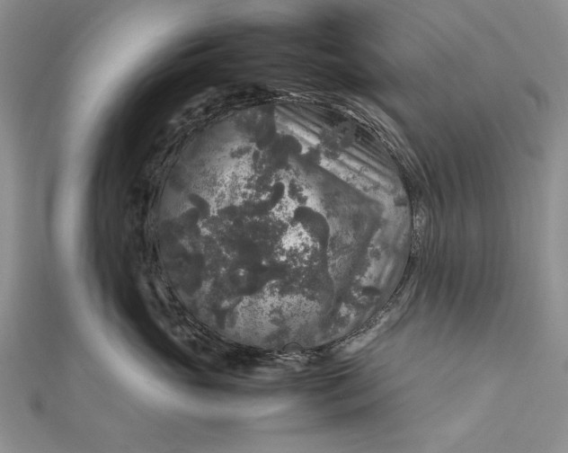 X0000111840765200908061253