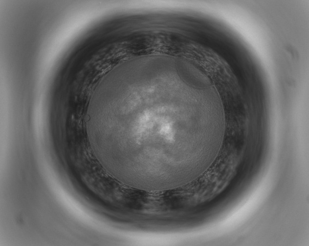 X0000111840766200908061253