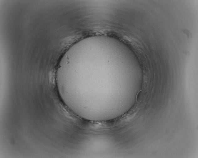 X0000111840768200908061253