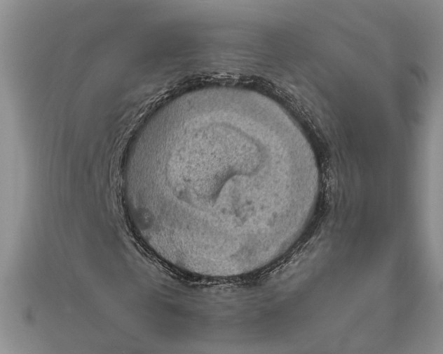 X0000111840769200908061253