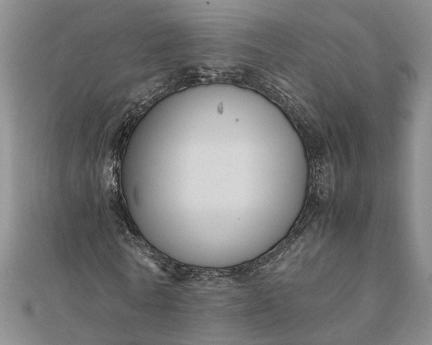 X0000111840770200908061253