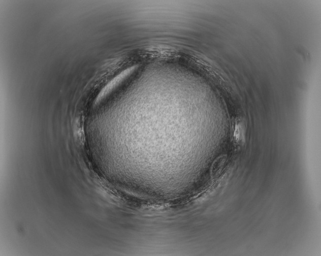 X0000111840771200908061253