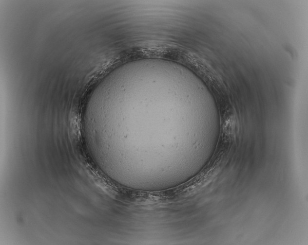 X0000111840772200908061253