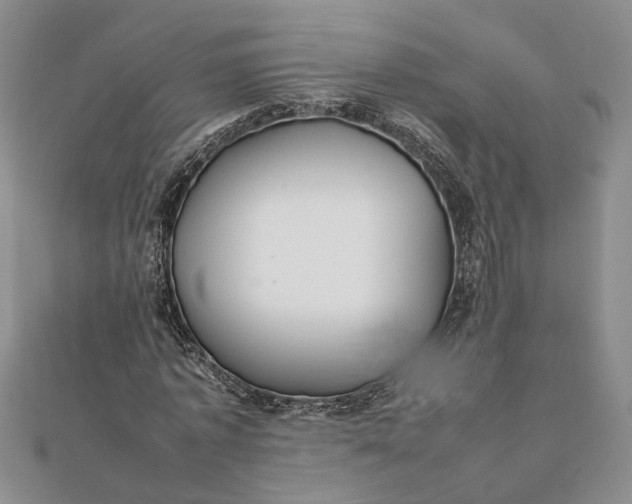 X0000111840773200908061253