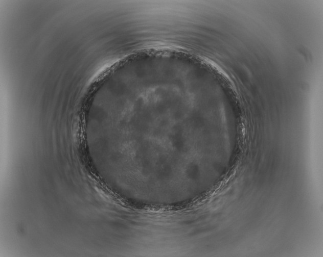 X0000111840775200908061253