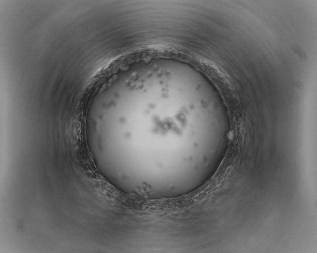 X0000111840776200908061253