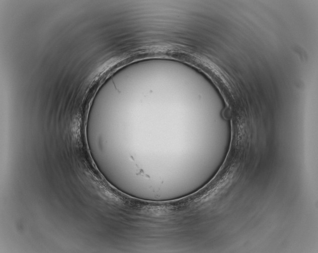 X0000111840778200908061253