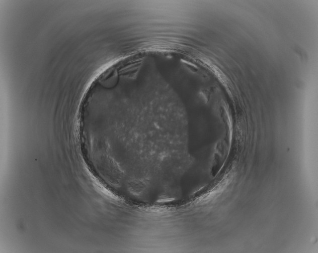 X0000111840779200908061253