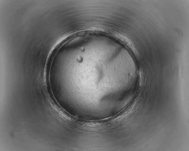 X0000111840780200908061253