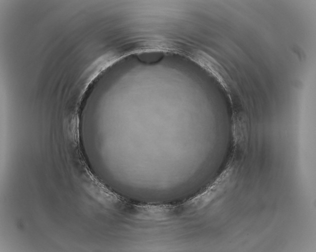 X0000111840781200908061253