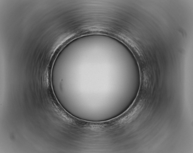 X0000111840782200908061253