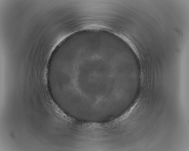 X0000111840783200908061252