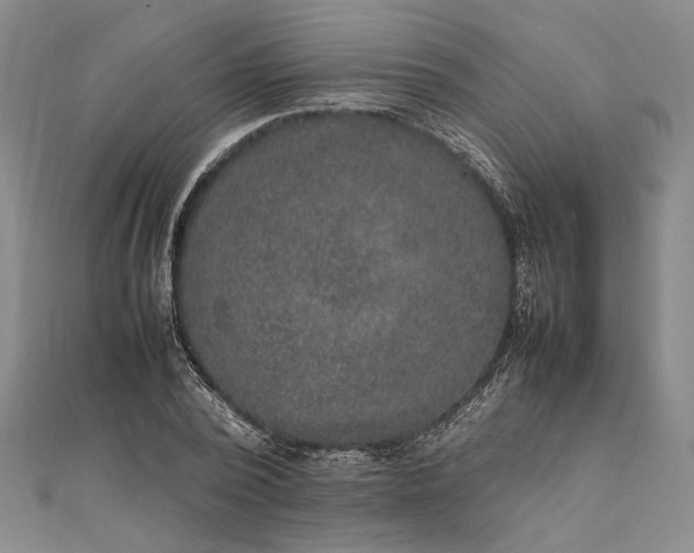 X0000111840784200908061252