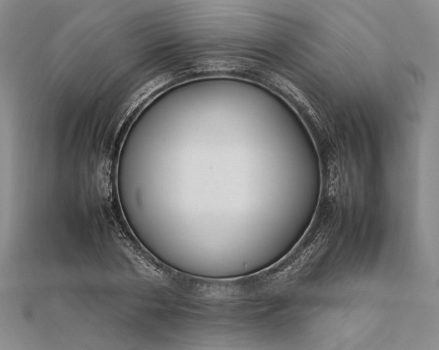 X0000111840786200908061252