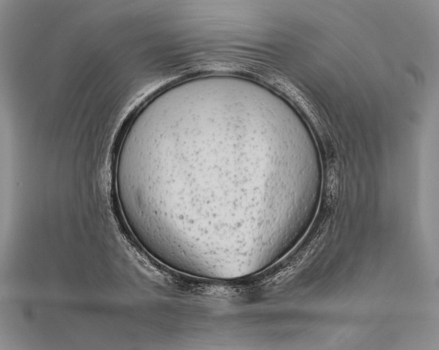 X0000111840787200908061252