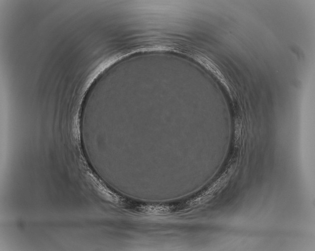 X0000111840789200908061252