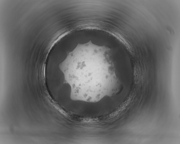 X0000111840790200908061252