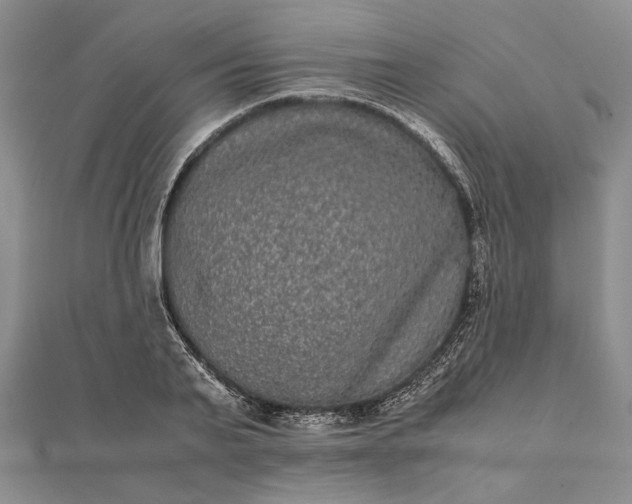 X0000111840791200908061252