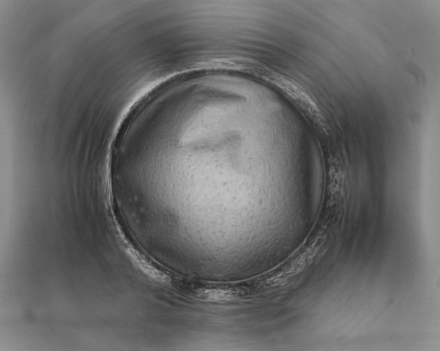 X0000111840792200908061252