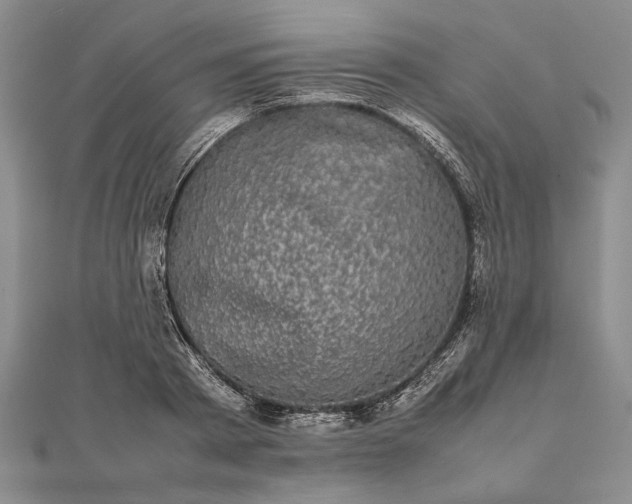 X0000111840793200908061252