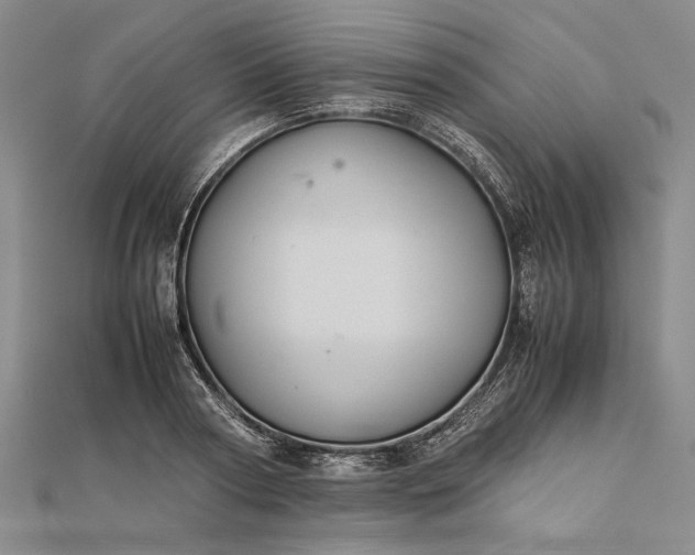 X0000111840794200908061252