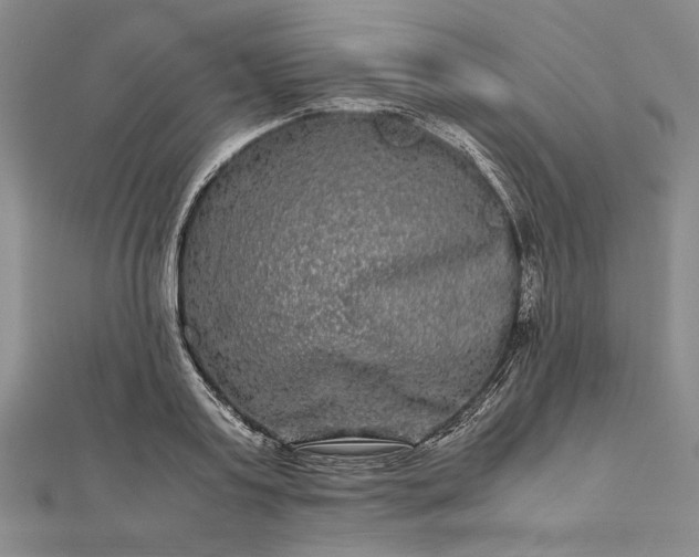 X0000111840795200908061252