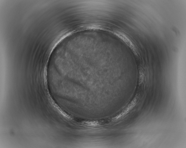 X0000111840798200908061252