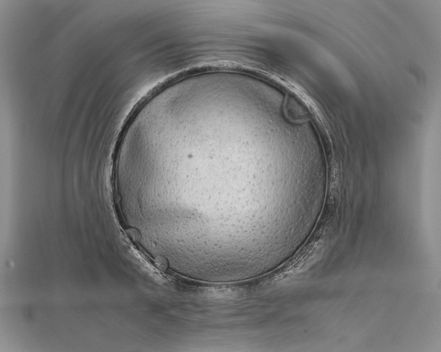 X0000111840799200908061252