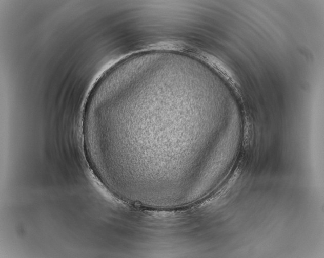 X0000111840800200908061252