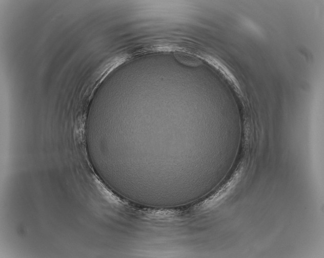 X0000111840801200908061252