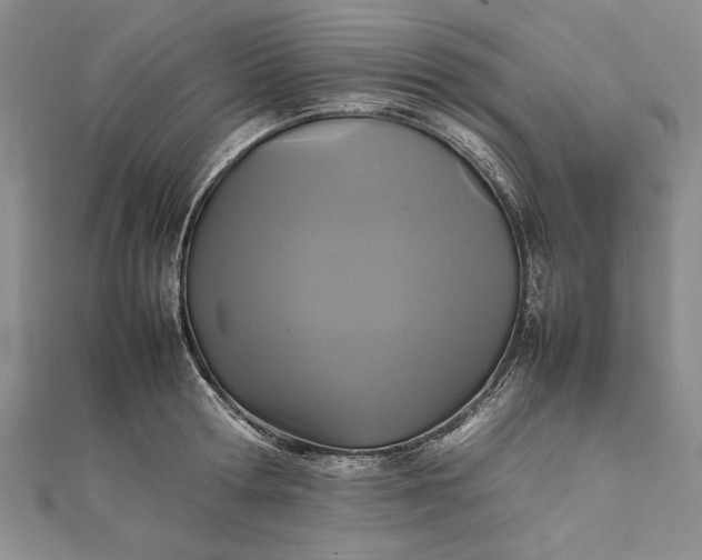 X0000111840802200908061252