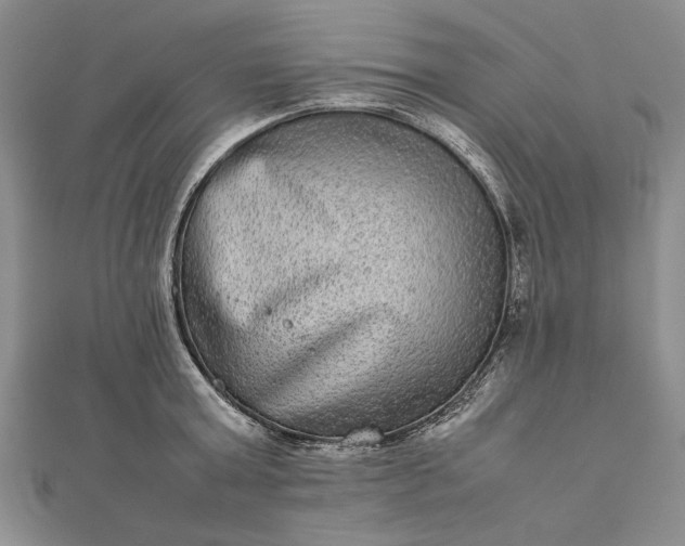 X0000111840803200908061252