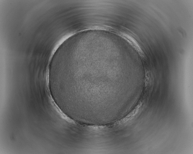 X0000111840804200908061252