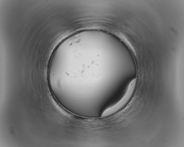 X0000111840805200908061252