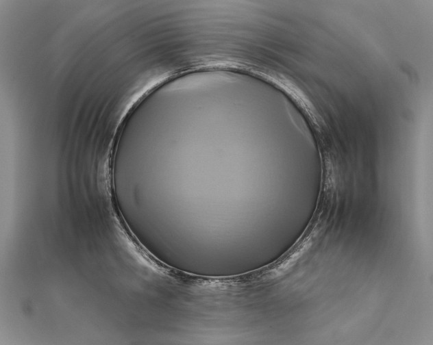 X0000111840806200908061252