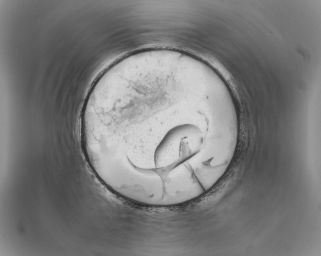 X0000111840807200908061252