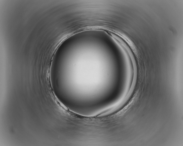 X0000111840809200908061252