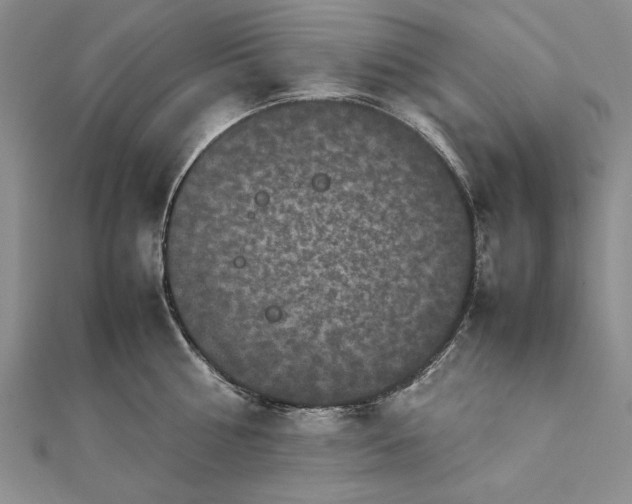 X0000111840810200908061252