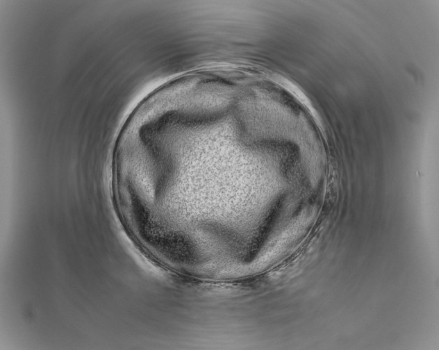 X0000111840811200908061252