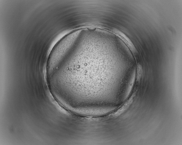 X0000111840812200908061252