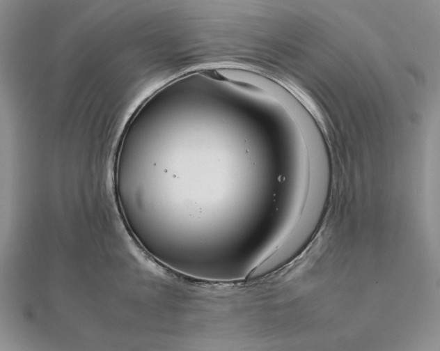 X0000111840813200908061252