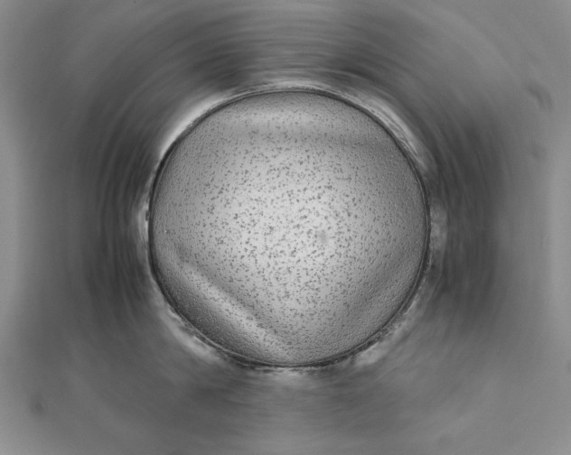 X0000111840814200908061252