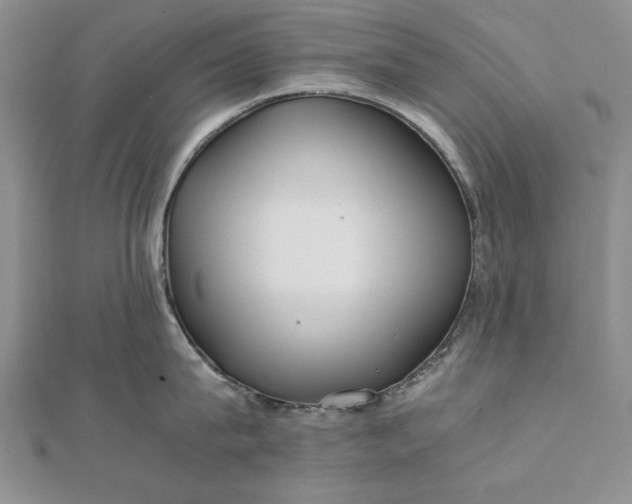 X0000111840815200908061252