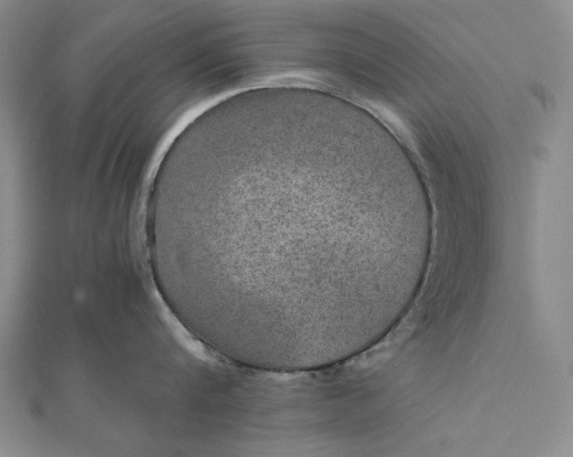 X0000111840816200908061252