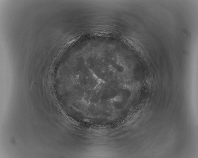 X0000111840817200908061251