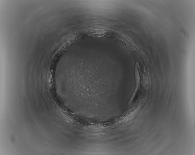 X0000111840818200908061251